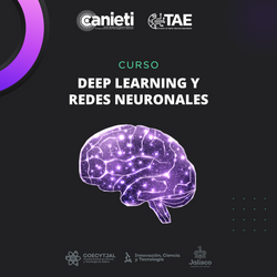 Deep Learning y Redes Neuronales | Infraestructura de Tecnologías de la Información | Especialización (avanzado)