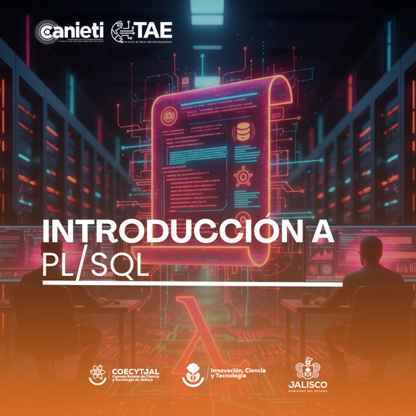 Introducción a PL/SQL | Reconversión
